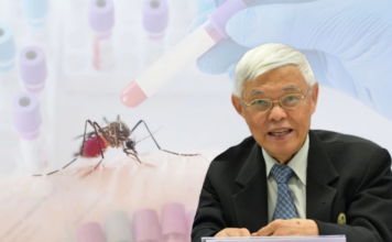 Mor Yong Dengue Mosquito