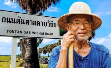 ถนนต้นตาลดาบวิชัย ศรีสะเกษ