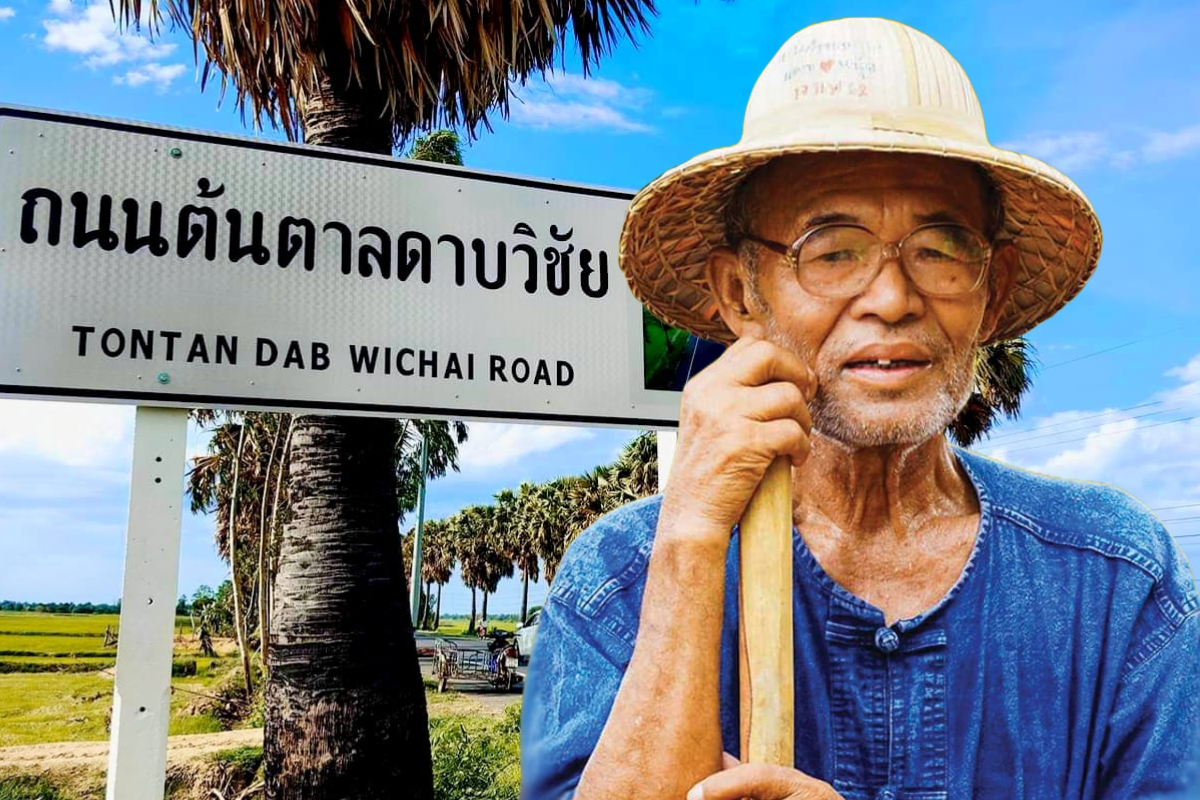 ถนนต้นตาลดาบวิชัย ถนนแห่งการรำลึก “ดาบวิชัย” คนบ้าปลูกต้นไม้