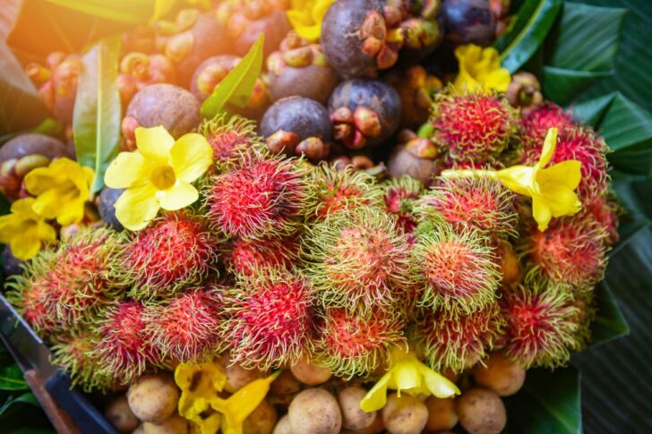 fruit ผลไม้