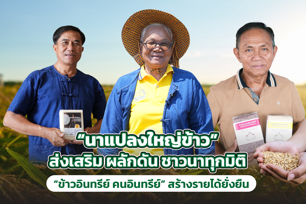 “นาแปลงใหญ่ข้าว” ส่งเสริม ผลักดัน ชาวนาทุกมิติ“ข้าวอินทรีย์ คนอินทรีย์” สร้างรายได้ยั่งยืน