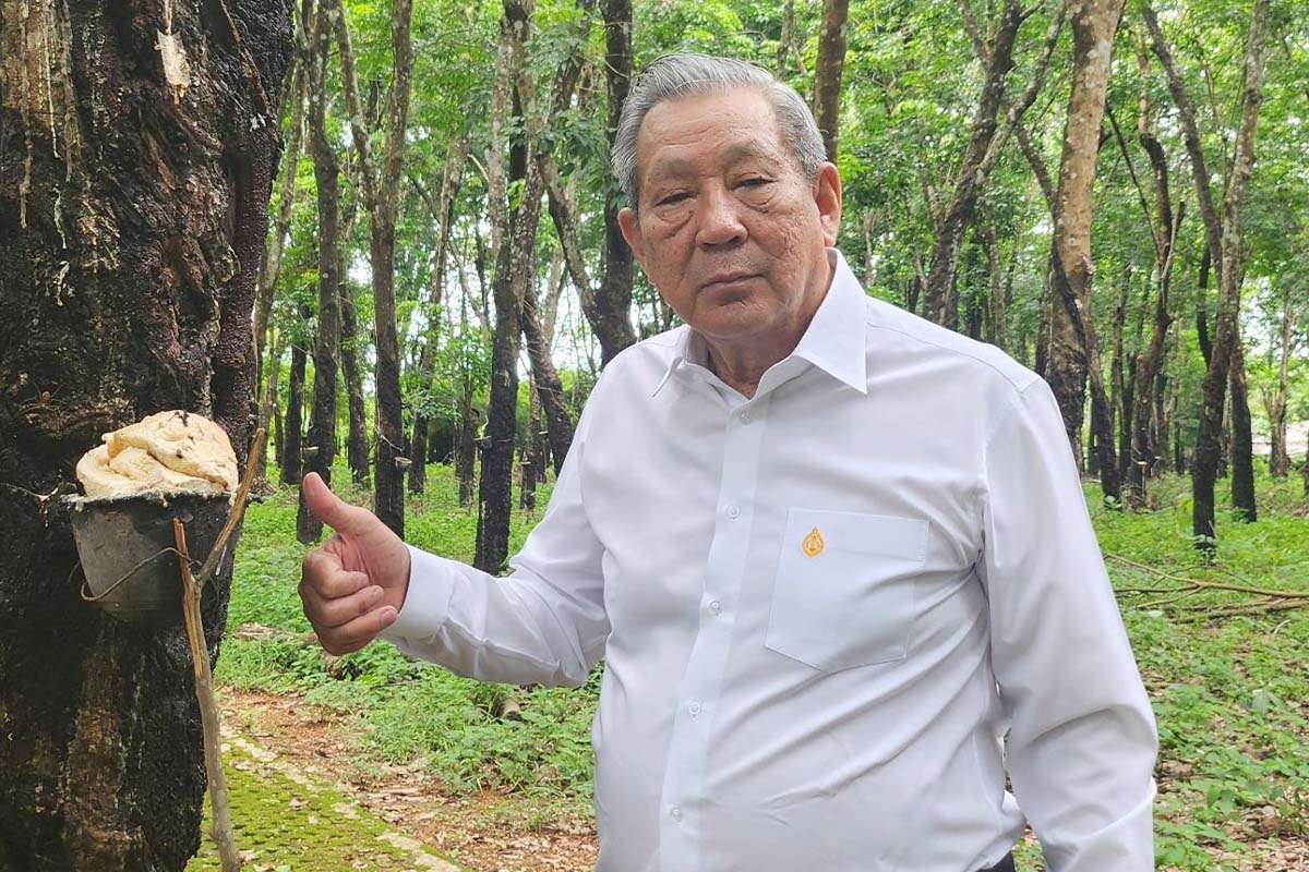 บุกเบิกยางบึงกาฬ 20 ปี จากอีสานเขียว “พินิจ” ลุยสู่ EUDR