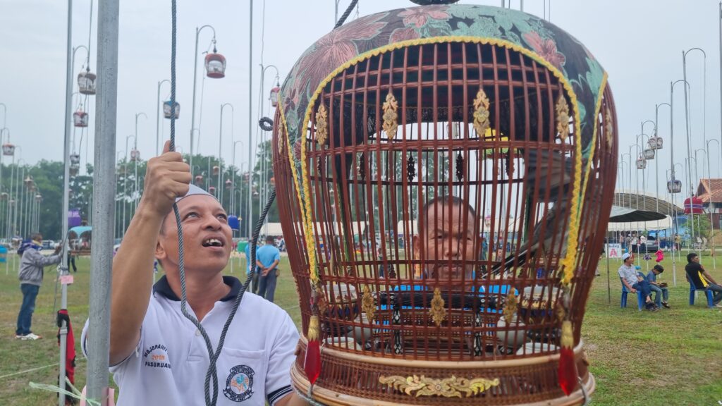 นกเขาชวาเสียง