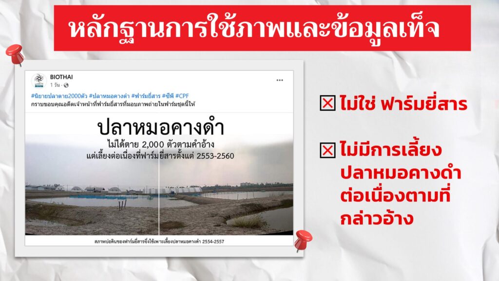 ซีพีเอฟงัดหลักฐาน 3 ภาพ-ข้อความเท็จ บิดเบือนกรณีปลาหมอคางดำ 