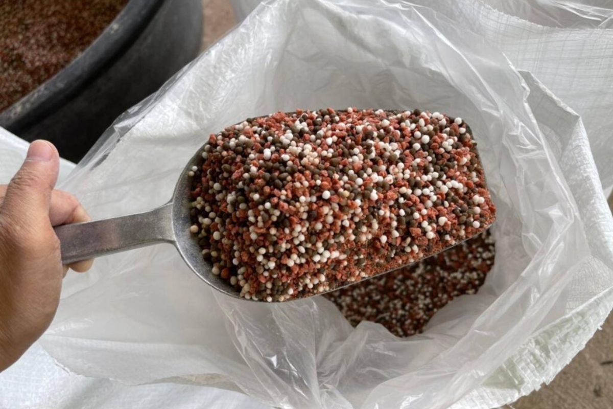 พาณิชย์เคาะ ‘ราคาแนะนำปุ๋ย’ รายจังหวัด สกัดค้ากำไรเกินควร ลุยธงเขียวพลัส