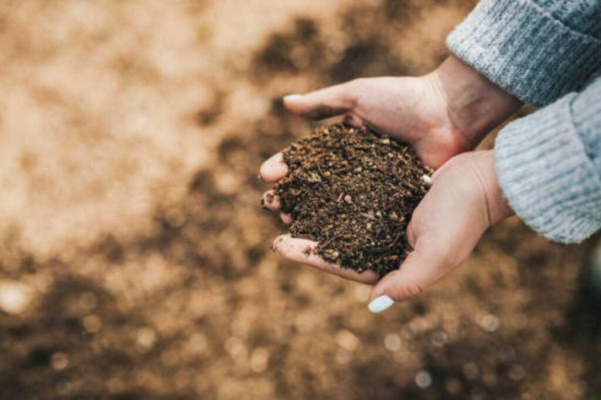 นักวิชาการ มธ. เตือน ราคาปุ๋ยเคมีพุ่ง อาหารจานละ 120 บาทไม่เกินจริง จับตา ก.ย.