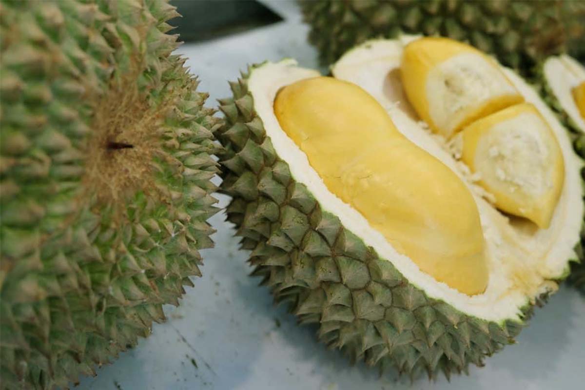 “ทุเรียนไทย” ครึ่งปี’67 ฝ่าวิกฤตสงครามราคา