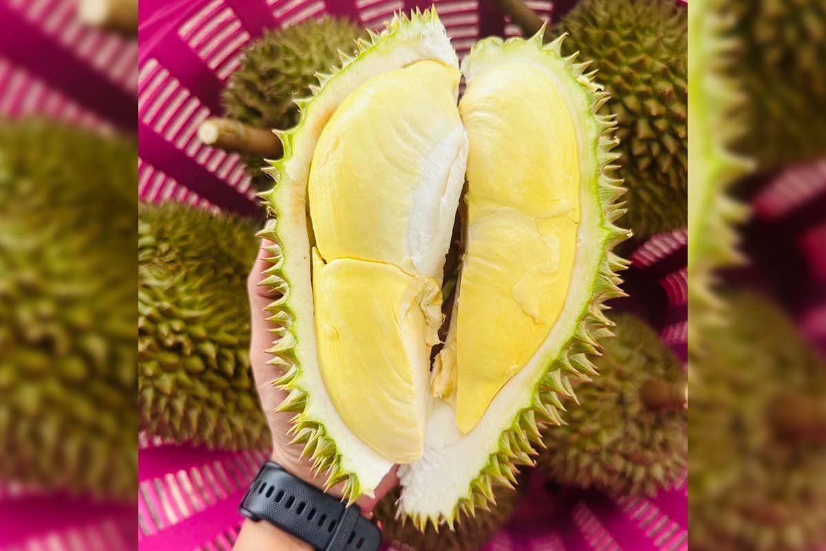 Durian crisis
