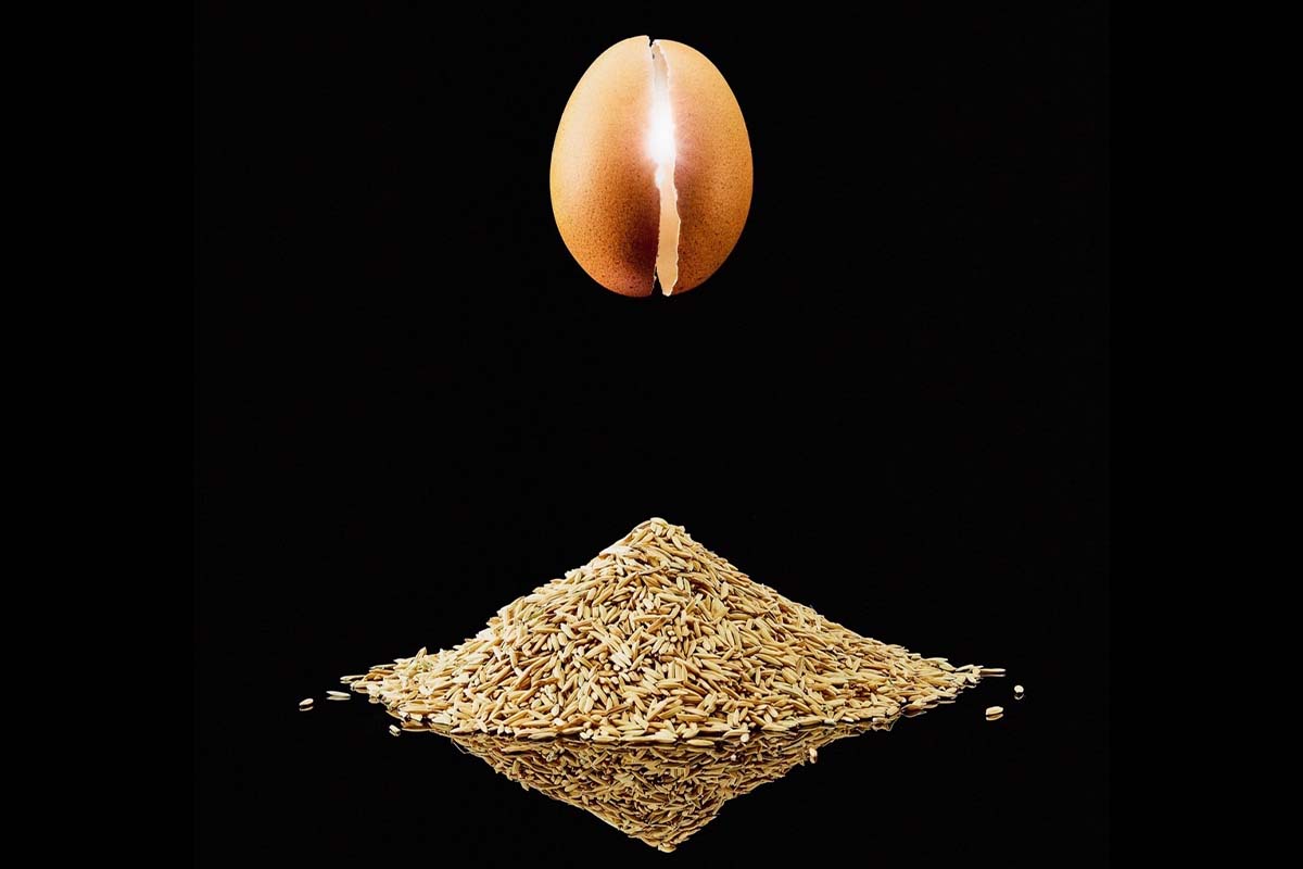 Future Food
