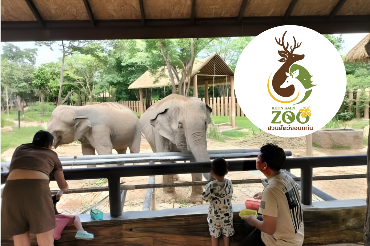 สวนสัตว์ขอนแก่น เด็ก-ผู้สูงอายุ เข้าชมฟรี วันหยุดยาว 27-29 ก.ค. 2567