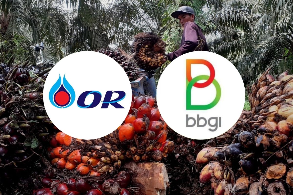 โออาร์-บางจาก ประสานเสียงซื้อ B100 ช่วยเกษตรกรกู้วิกฤตราคาน้ำมันปาล์มตกต่ำ