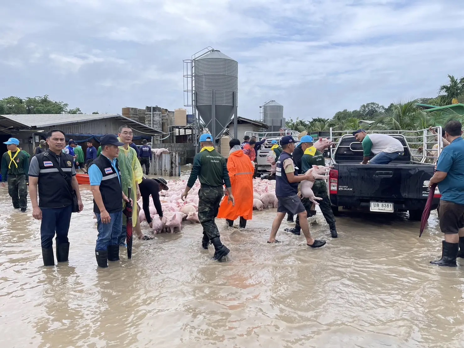 ธรรมนัส เตือนเกษตรกรพร้อมรับมืออุทกภัย ขนย้ายลูกหมู 8,000 ตัว ฟาร์ม จ.ตราดหนีน้ำ