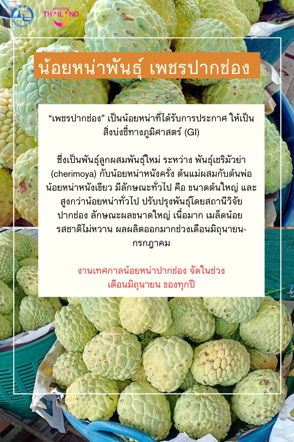ททท. บูมโคราช “เมือง 3 มรดกโลกยูเนสโก” เชื่อมเมืองน่าเที่ยวกลุ่มจังหวัดอีสานตอนล่าง