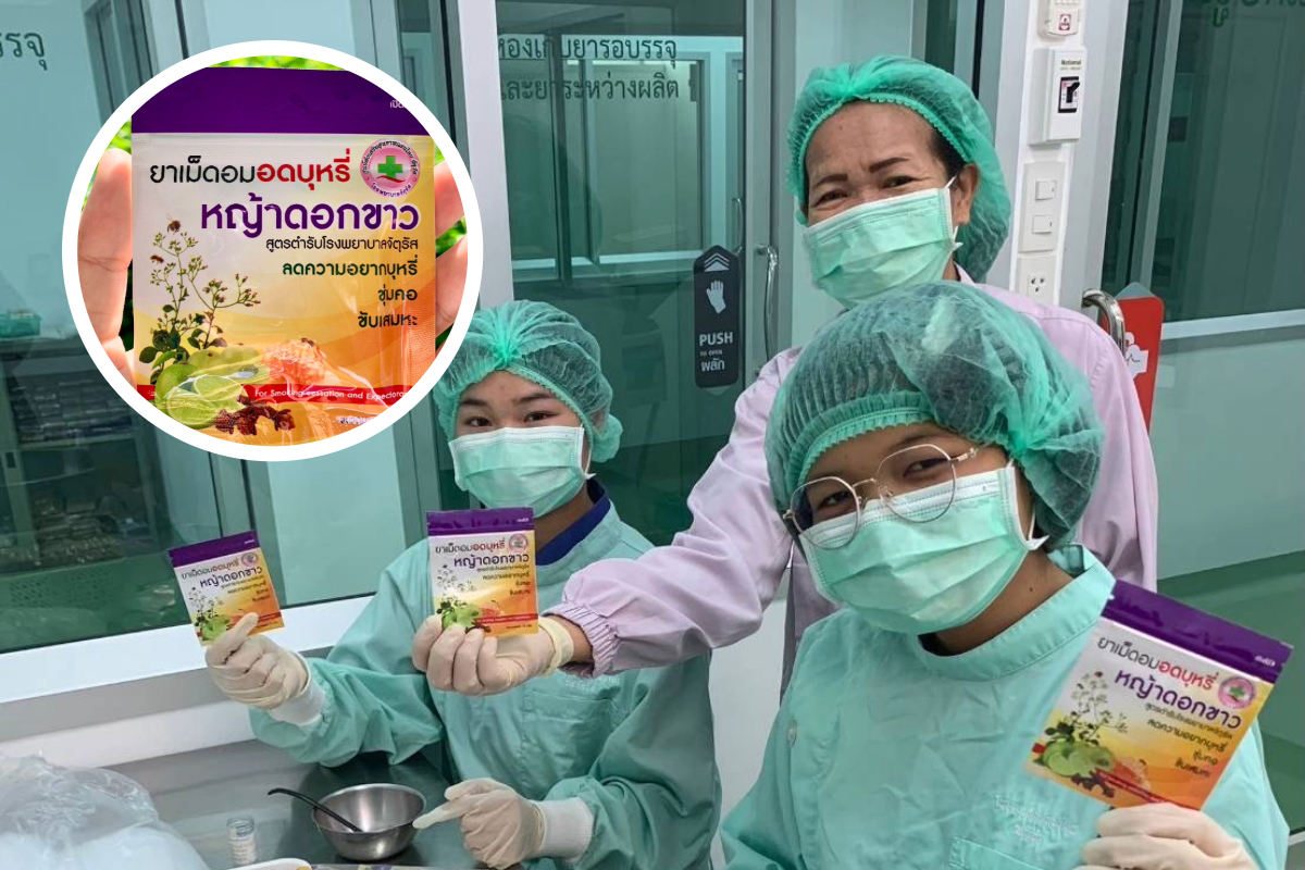รพ.จัตุรัส พัฒนายาเม็ดอมอดบุหรี่ หญ้าดอกขาว สร้างรายได้ 4 แสนต่อปี