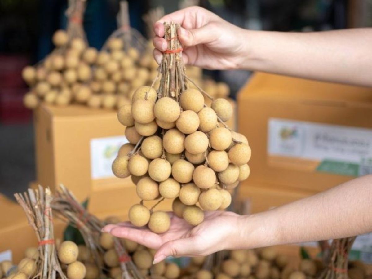ชู 11 แปลงใหญ่ทั่วประเทศนำร่อง ยกระดับภาคเกษตรสู่เกษตรมูลค่าสูง