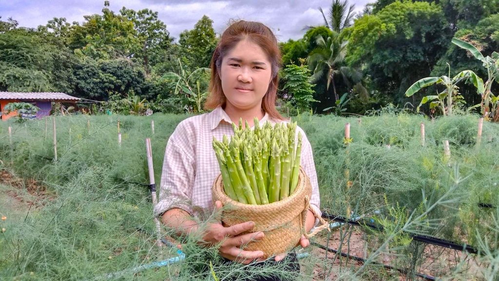 แปลงใหญ่