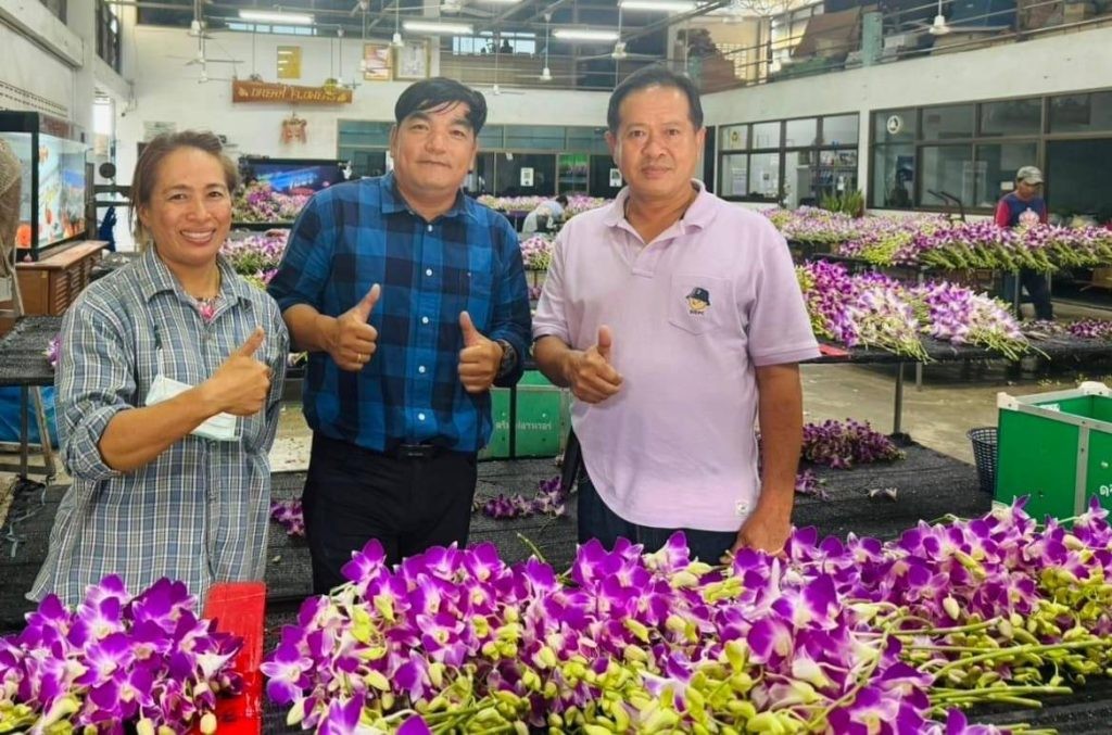 แปลงใหญ่