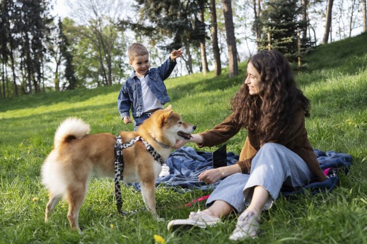 pet_family pet_family