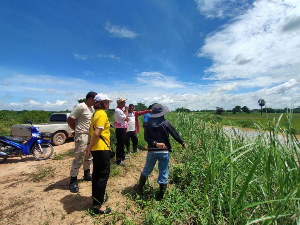กรมส่งเสริมการเกษตร ตรวจสอบพื้นที่เกษตรสุโขทัย น้ำท่วมเสียหาย 2,087 ไร่