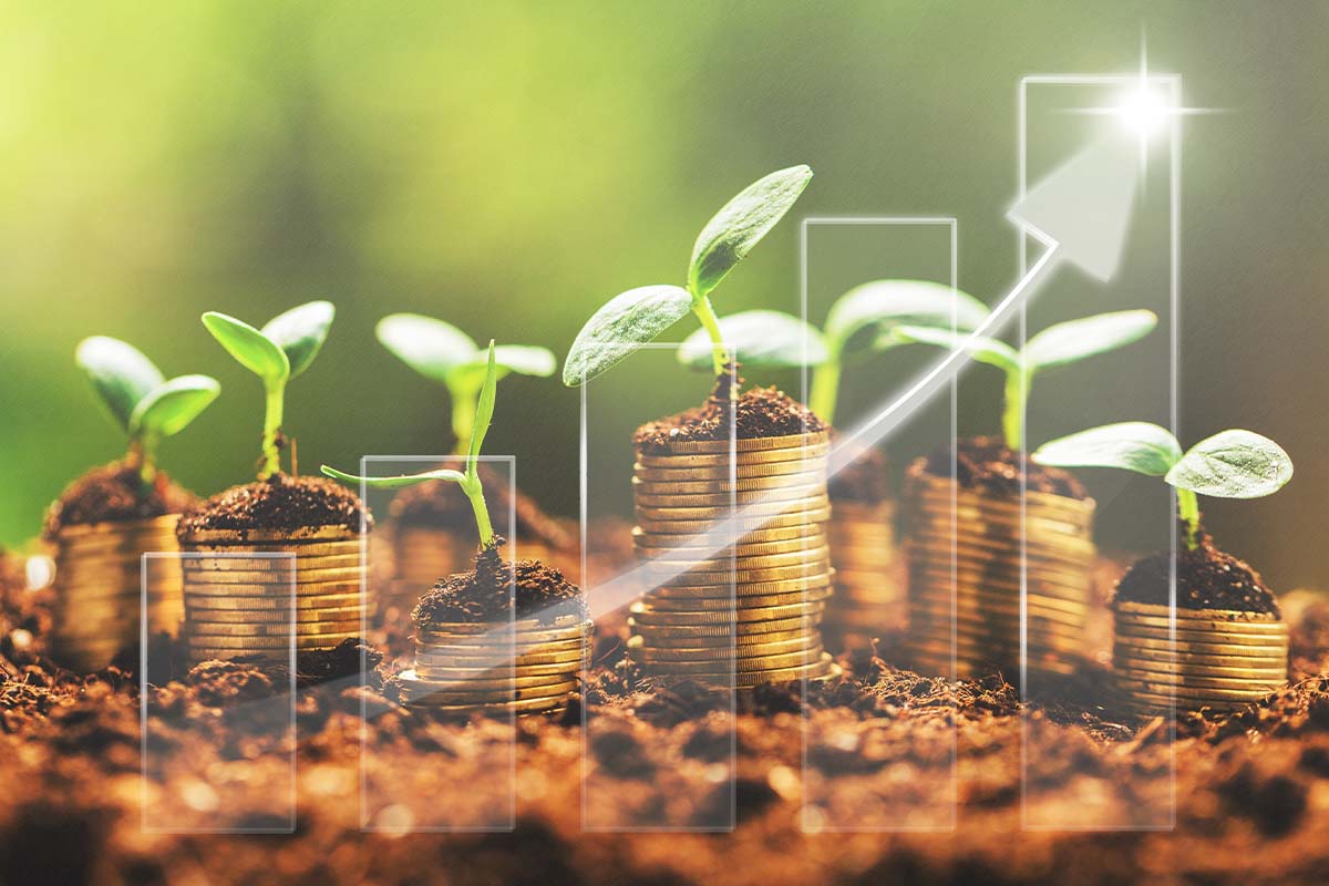 Green Finance อาวุธการเงิน เพื่อความยั่งยืน