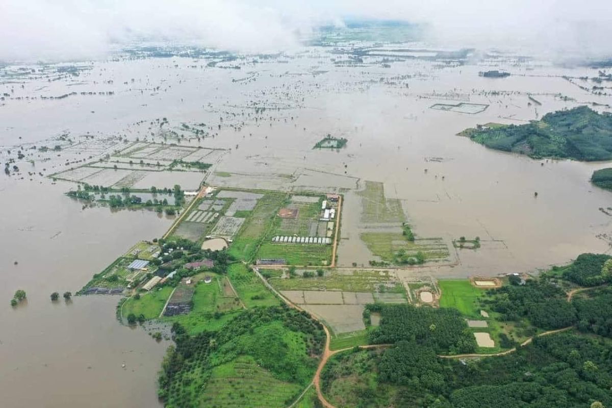 เชียงรายยังจมบาดาล กระทบ 10 อำเภอ 7,591 ครัวเรือน พื้นที่เกษตรเสียหายนับหมื่นไร่
