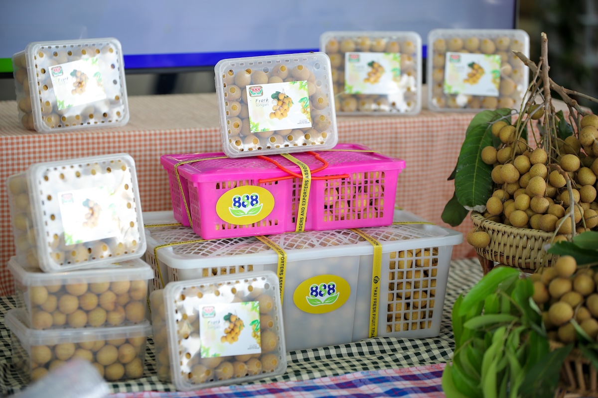 longan