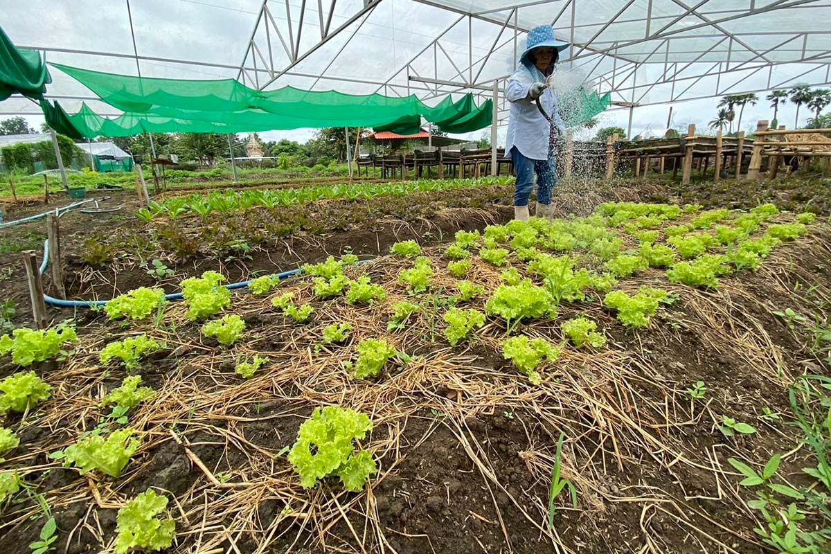 Living Soil