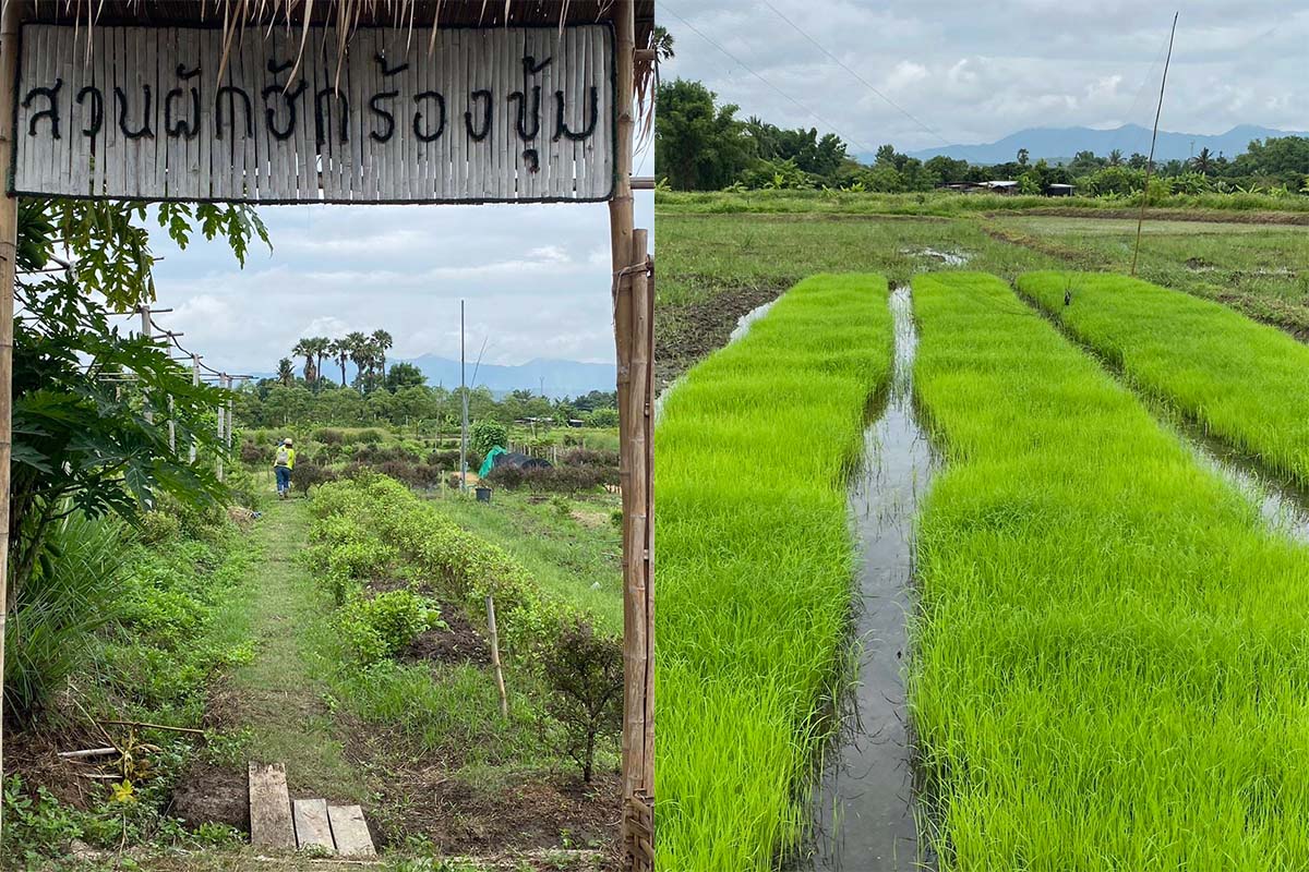 Living Soil