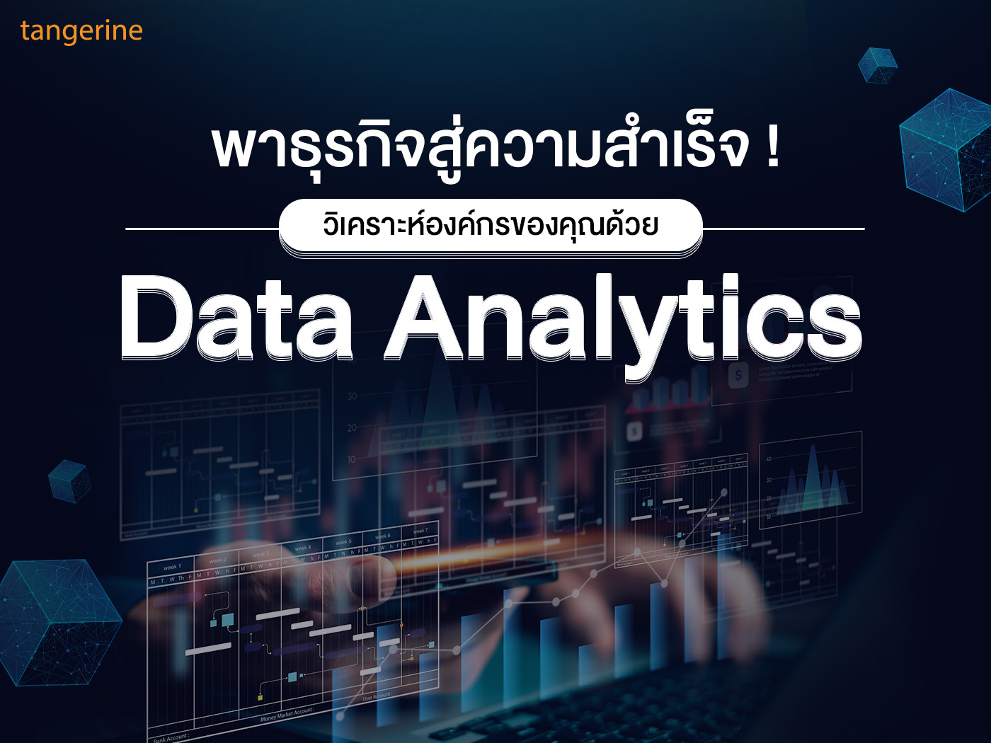 พาธุรกิจสู่ความสำเร็จ ! วิเคราะห์องค์กรของคุณด้วย Data Analytics