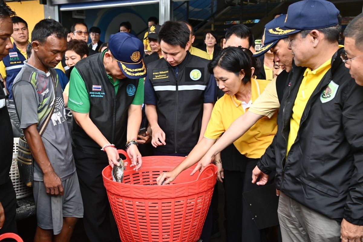 ‘อรรถกร’ ตั้งศูนย์ปฏิบัติการเร่งตัดวงจรปลาหมอคางดำ เดินหน้ารับซื้อ 73 จุด ทั่วพื้นที่