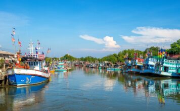 เรือประมง