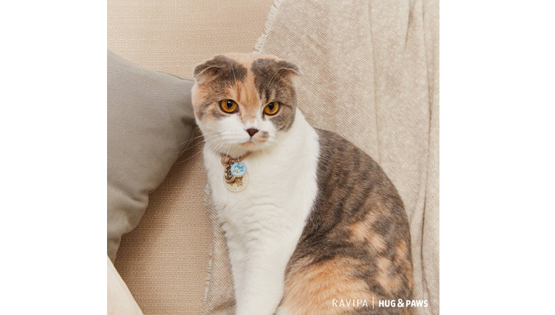 RAVIPA เปิดตัว Hug & Paws Lucky Charm เครื่องรางปกป้องดูแลสัตว์เลี้ยงแสนรัก 