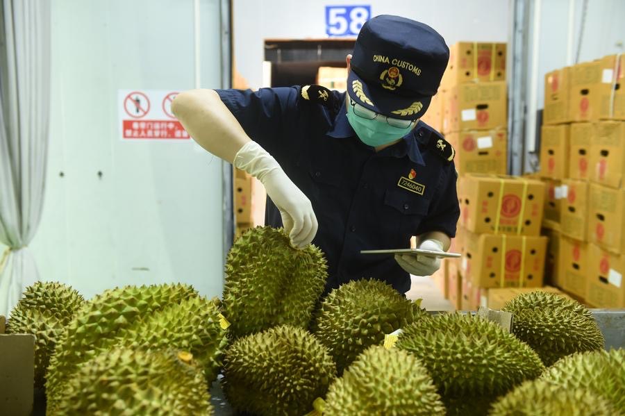 ตลาดทุเรียนจีนฤดูร้อนคึก ไทย VS เวียดนาม ชิงเบอร์ 1 – ส่งออกทุเรียนสดไทยฟื้นไตรมาส 2