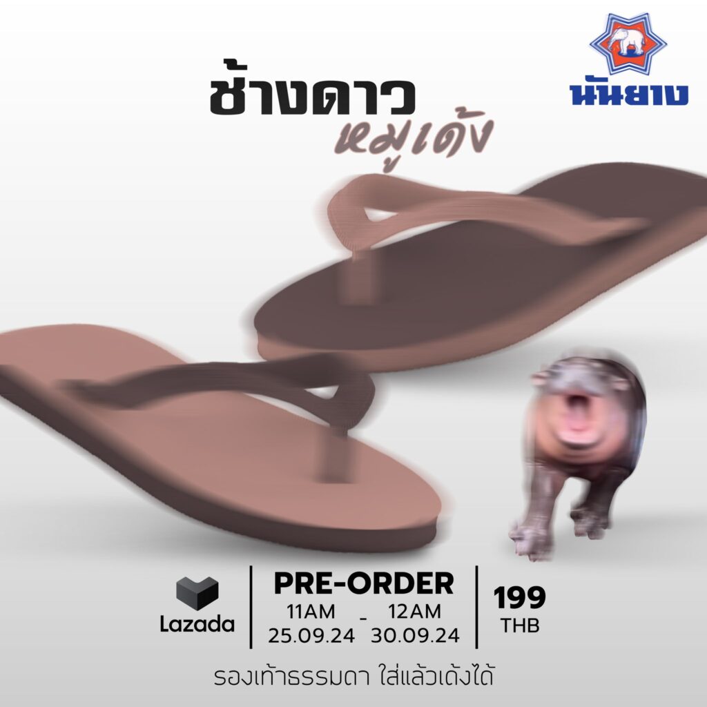 รองเท้าแตะช้างดาว