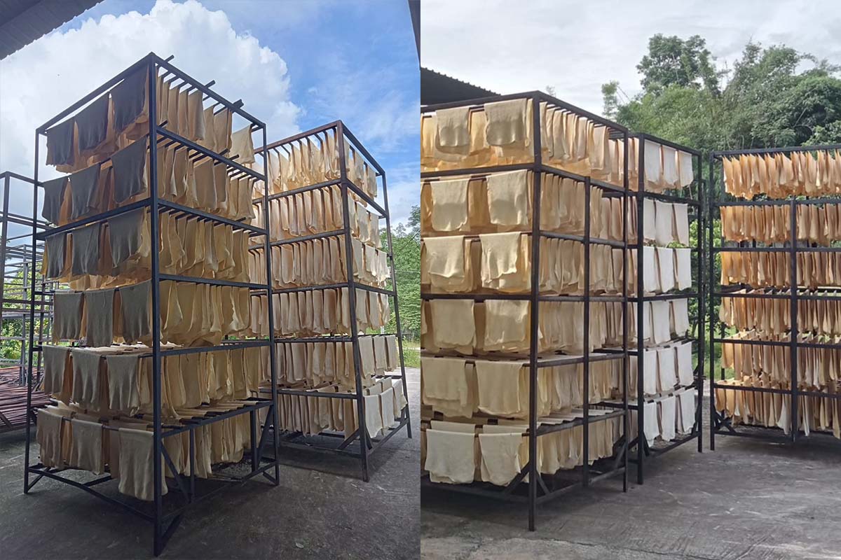 ยาง EUDR ส่อไม่สดใส-ผู้ส่งออกเมินซื้อไม่ยื่นประมูล