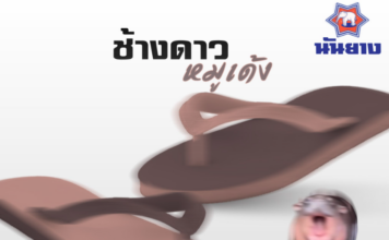 รองเท้าแตะรุ่นใหม่ ช้างดาว หมูเด้ง