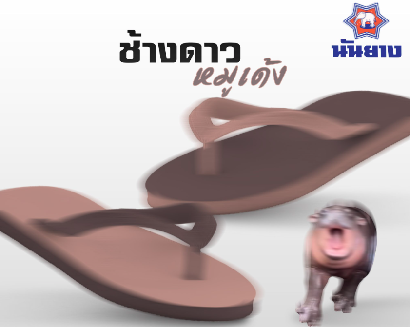 นันยาง เกาะกระแส “หมูเด้ง” เปิดพรีออร์เดอร์ รองเท้าแตะช้างดาวรุ่นใหม่
