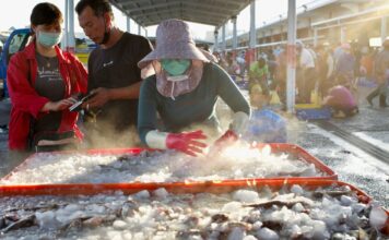 ตลาดประมง ณ ท่าเรือในเขตหม่ากง เมืองเผิงหู (ภาพถ่ายโดย Sam Yeh / AFP)