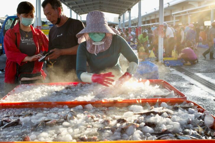 Taiwan_China_Web ตลาดประมง ณ ท่าเรือในเขตหม่ากง เมืองเผิงหู (ภาพถ่ายโดย Sam Yeh / AFP)