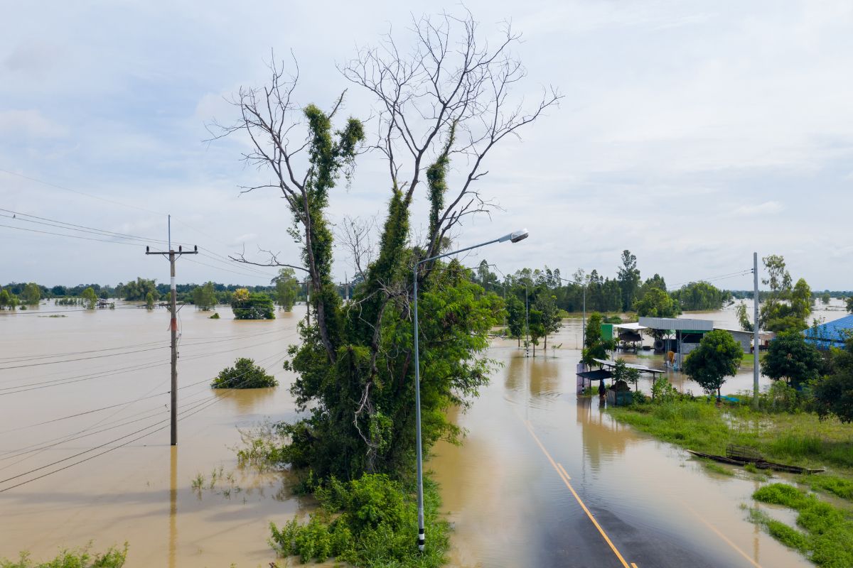 เตือน 10 จังหวัดเฝ้าระวังแผ่นดินถล่ม 10-11 ก.ย. 67 หลังฝนตกหนัก