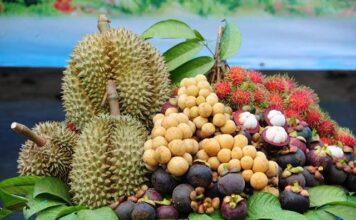 fruit