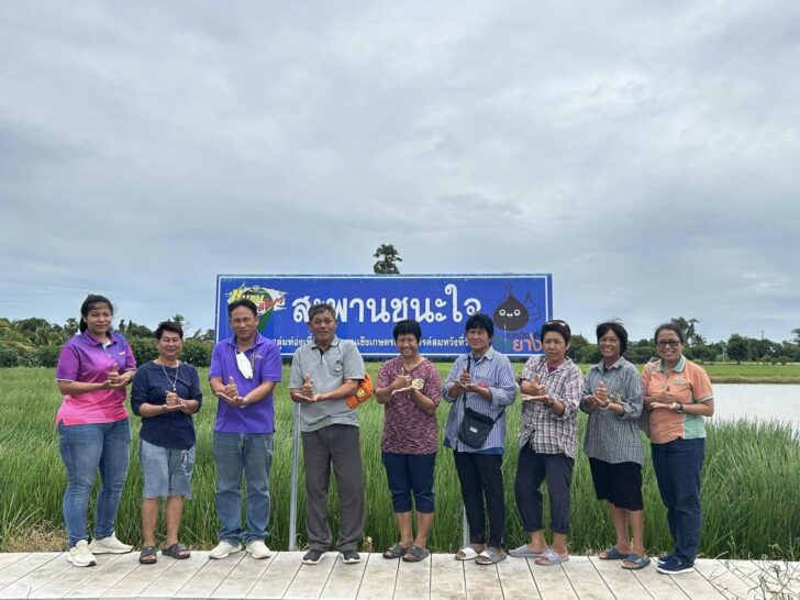 image1 แปลงใหญ่แห้ว