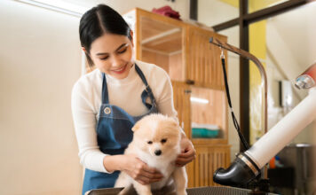 pet
