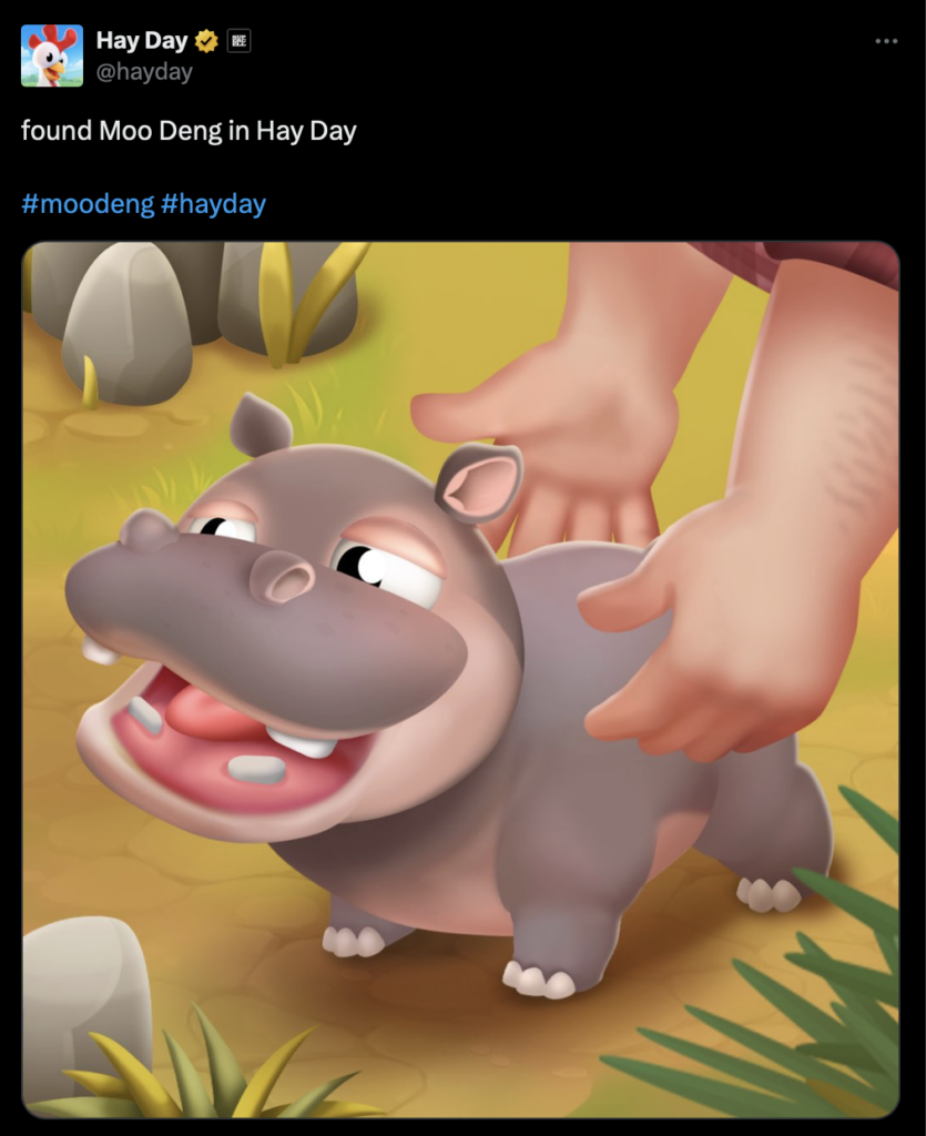 หมูเด้ง-Hay Day