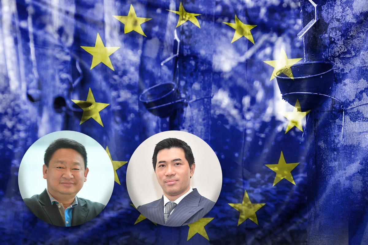เลื่อน EUDR 1 ปี ฉุดราคายางร่วง ศรีตรังห่วงฝนตกหนักกระทบผลผลิต