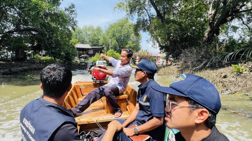 ปลาหมอคางดำ