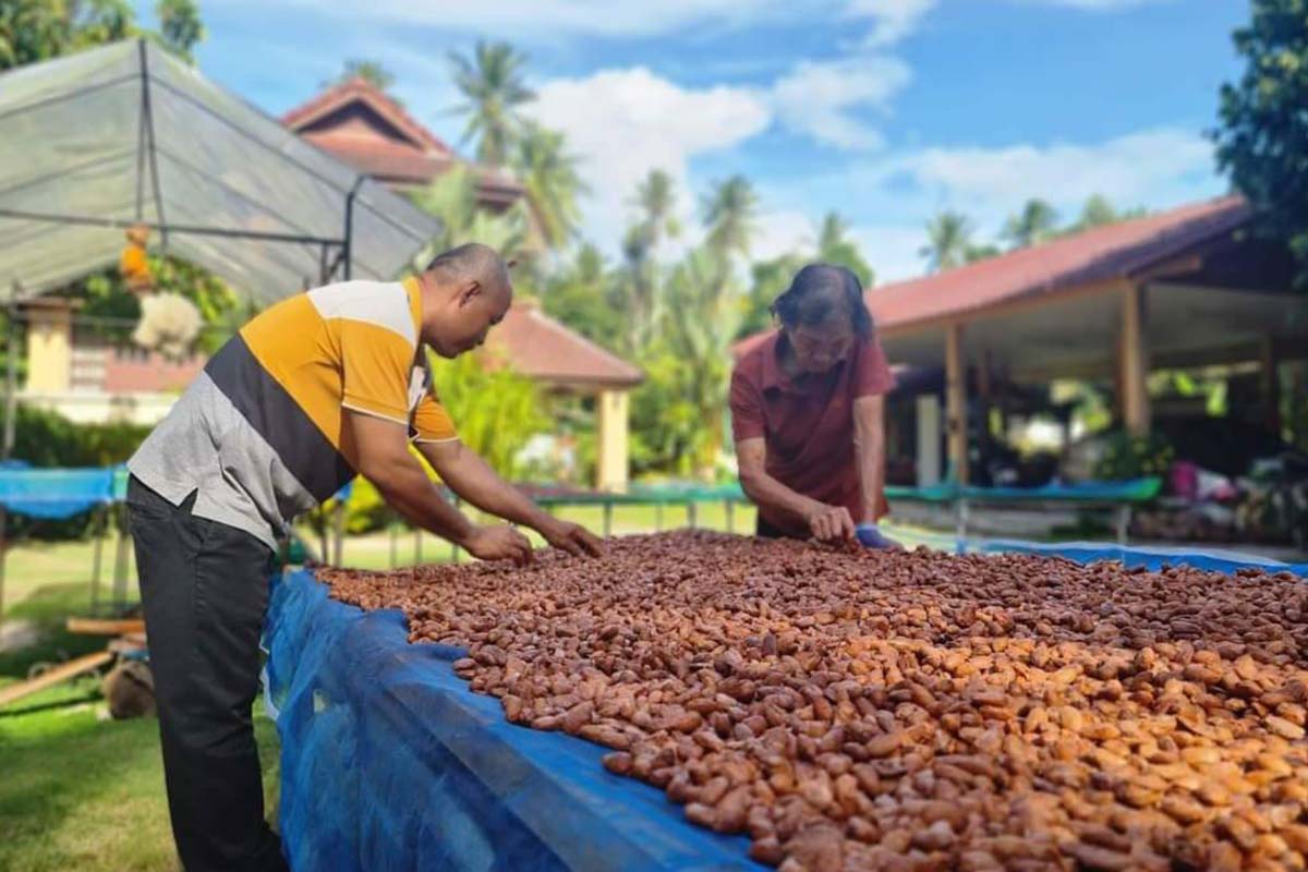 Thala Cocoa