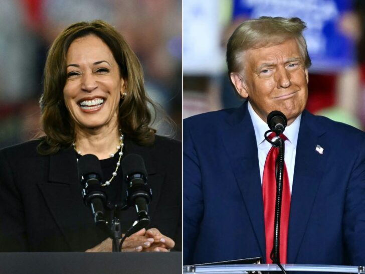ComboUsVotePoliticsHarrisTrump2