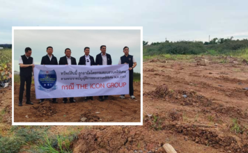 DSI Icon Group Land