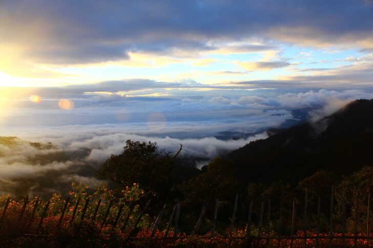 .พยากรณ์อากาศ (6 ก.พ. 2569) ทั่วไทยอากาศอุ่นขึ้น เหนือ-อีสานยังหนาวในตอนเช้า.